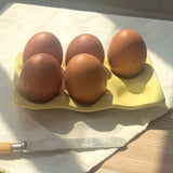 Egg Holder - Butter Yellow
